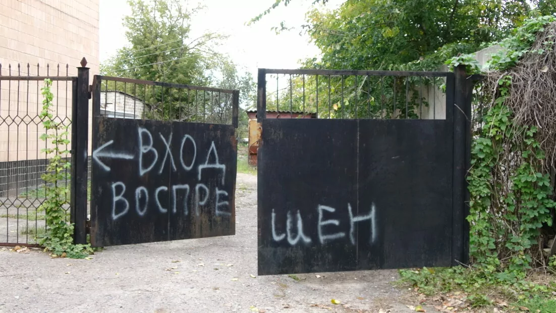 Borova