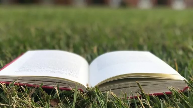 Літературна платформа «Букнет» створила окремий сервіс в Україні