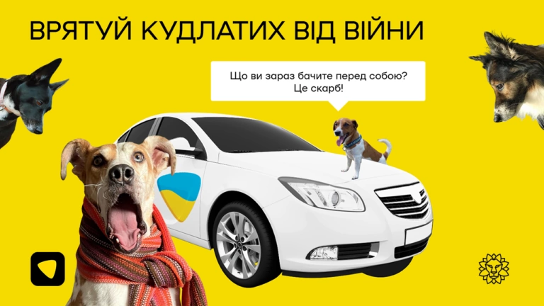 Завдяки донатам українців уже 4 притулки для тварин готові до зими