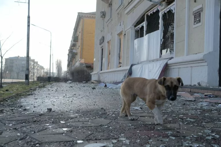 Бахмут під вогнем: як живе фронтове місто — фото