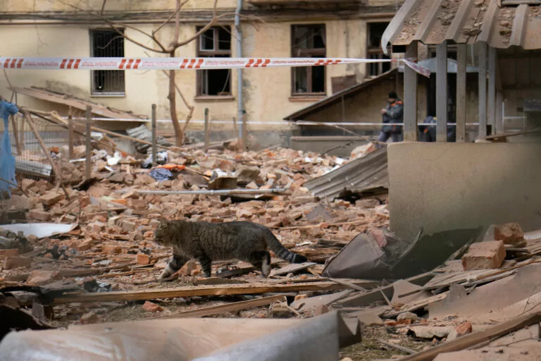 Recovery Army Project to be Launched in Kharkiv