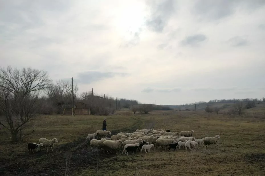 вугледар
