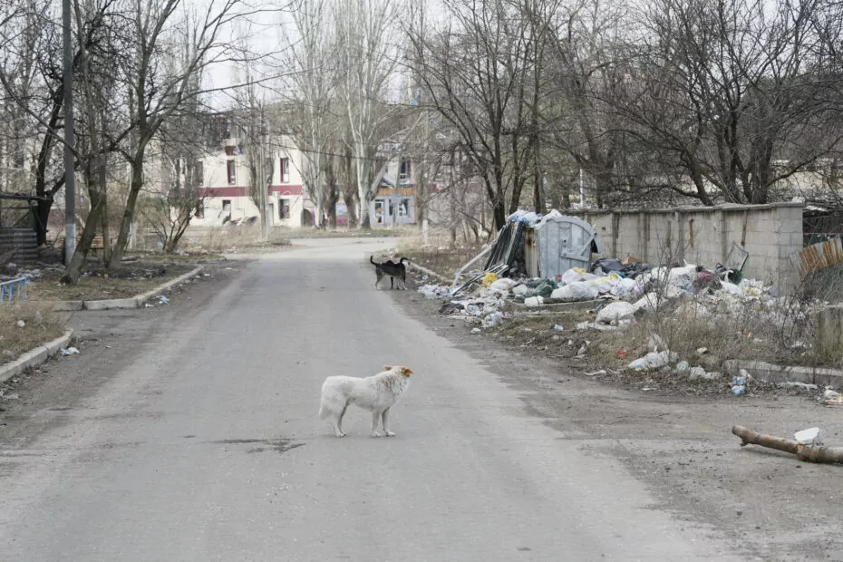 зображення до посту: Avdiivka: &#8216;Post-Apocalyptic&#8217; City on Ukraine&#8217;s Front Line