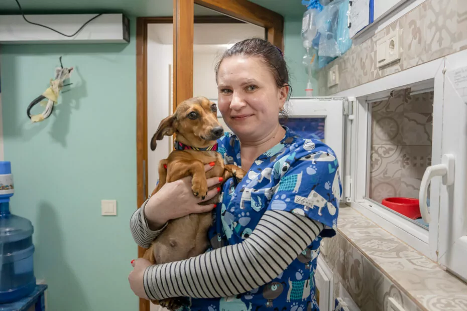 зображення до посту: «Наша мета — допомогти тваринам»: як харківський притулок рятує чотирилапих з гарячих точок