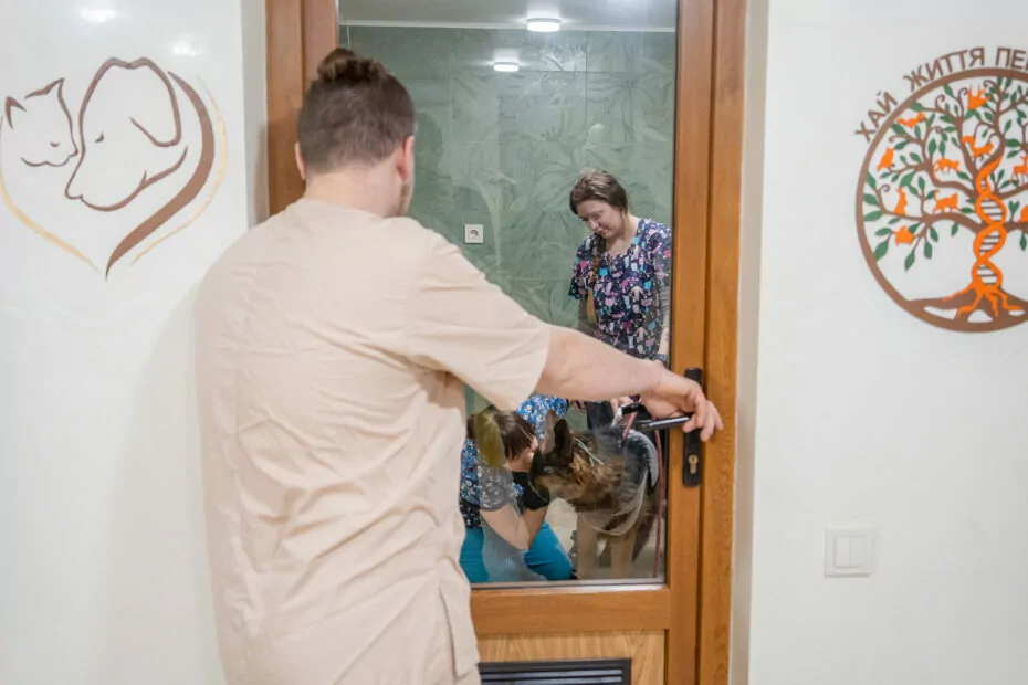 зображення до посту: «Наша мета — допомогти тваринам»: як харківський притулок рятує чотирилапих з гарячих точок