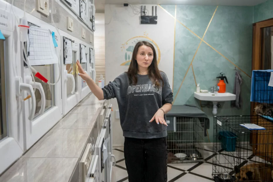 зображення до посту: «Наша мета — допомогти тваринам»: як харківський притулок рятує чотирилапих з гарячих точок