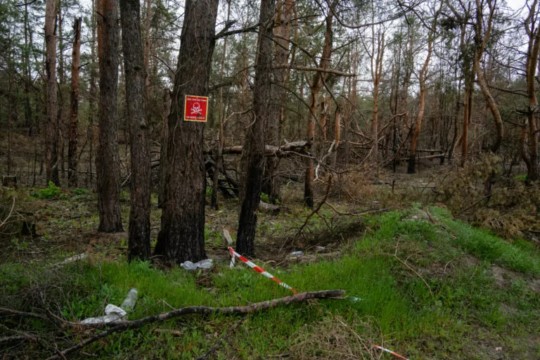 About 40-45% of Kharkiv region’s forests affected by Russia’s full-scale invasion