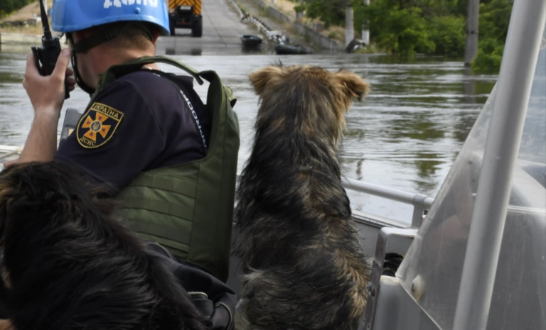 Humanitarian Aid Center for the Affected Residents of Kherson Region Opened in Kharkiv