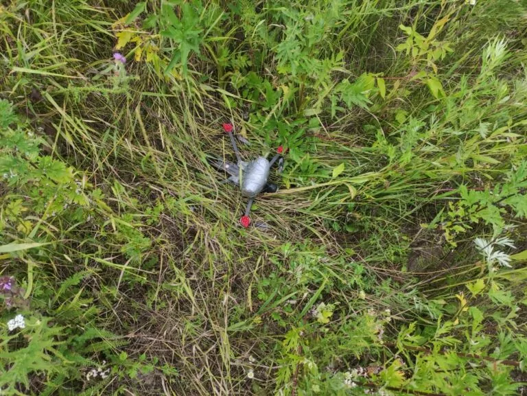 На Харківщині прикордонники знищили російський дрон-камікадзе — фото
