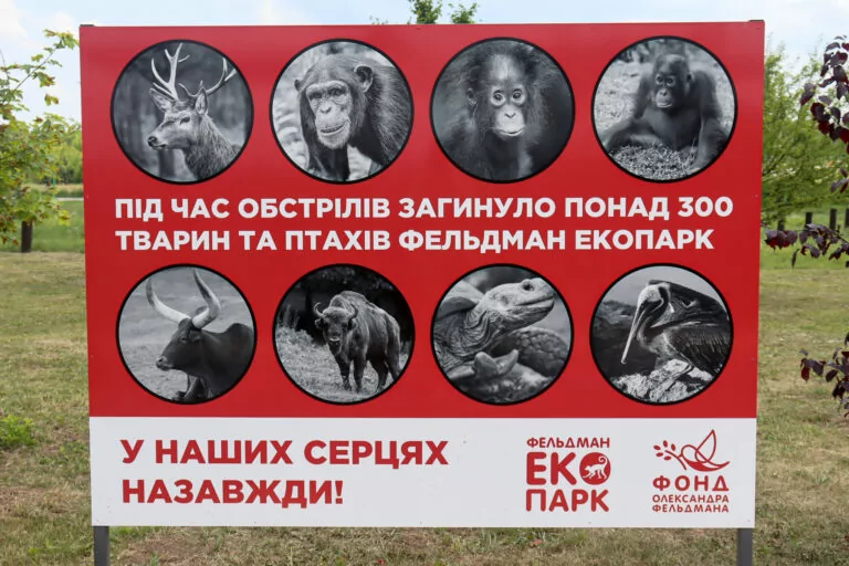 Харківський екопарк можуть евакуювати через загрозу FPV-дронів 