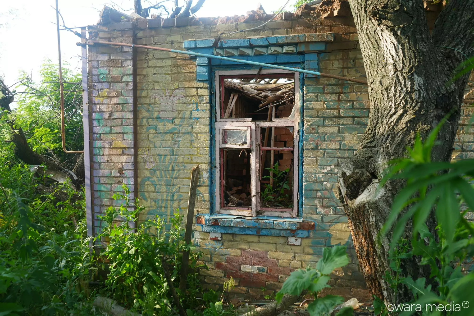 зображення до посту: Замість вручну намальованих квітів — написи російських солдатів: історія одного дому в Довгенькому