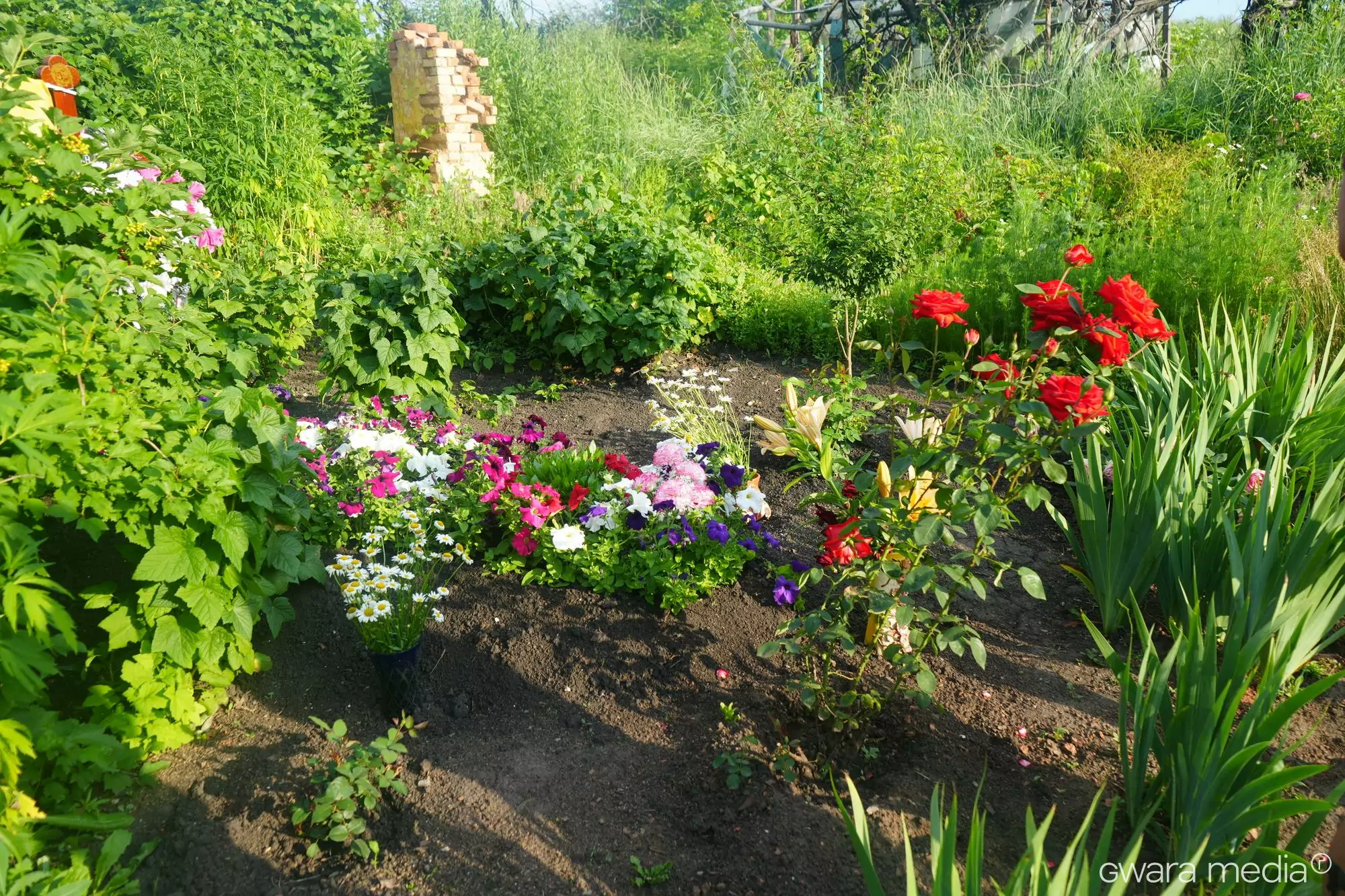 зображення до посту: Замість вручну намальованих квітів — написи російських солдатів: історія одного дому в Довгенькому