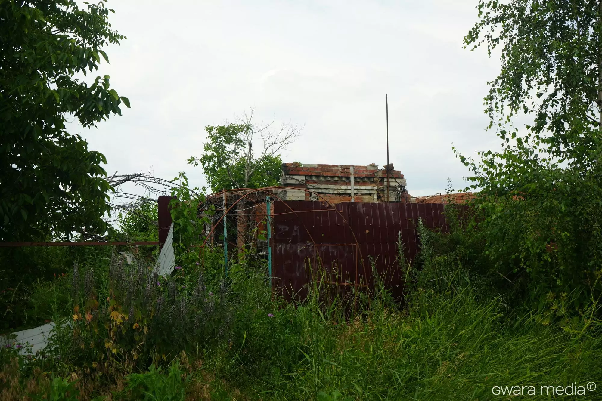 зображення до посту: Замість вручну намальованих квітів — написи російських солдатів: історія одного дому в Довгенькому