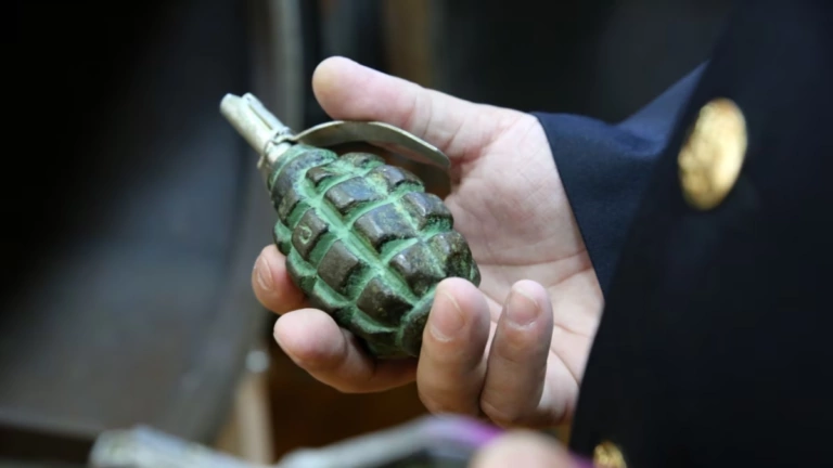 На Харківщині внаслідок вибуху боєприпасу загинула дитина