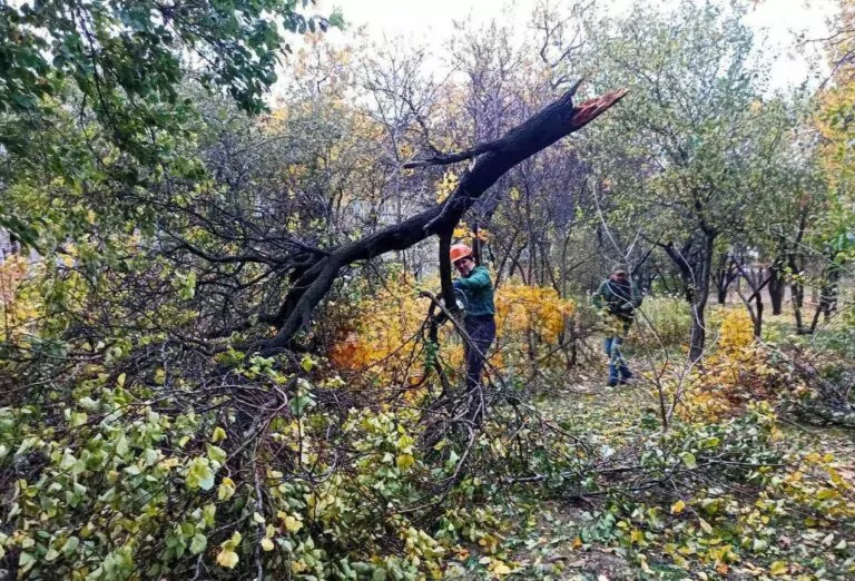 У Харківській міськраді повідомили, який район найбільше постраждав від негоди