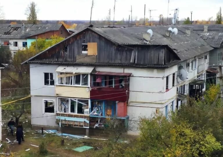 Правоохоронці показали наслідки обстрілів Борової — фото