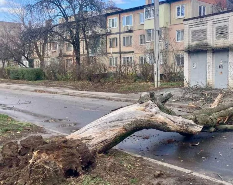 У Харкові вирує буревій: є повалені дерева – фото