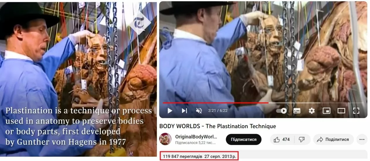 зображення до посту: Фейк. The Telegraph: виставку «Body Worlds: Kyiv» скасували через підроблені документи