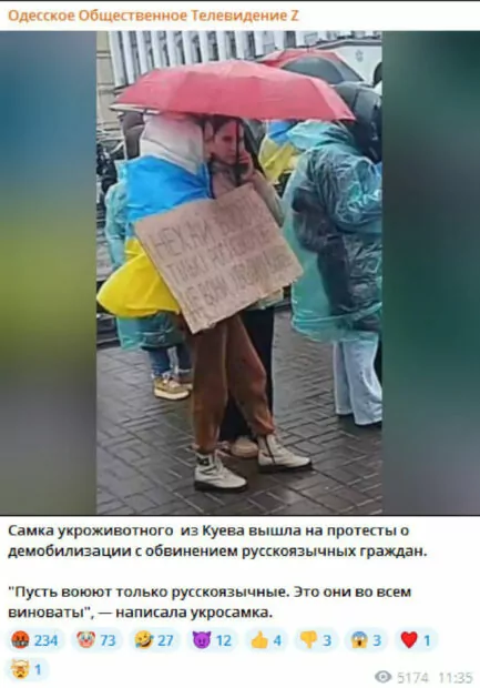 зображення до посту: Маніпуляція. У Києві на акцію протесту вийшла жінка з плакатом: «Нехай воюють лише російськомовні»
