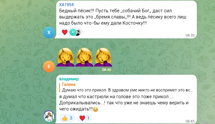 зображення до посту: Фейк. В Україні з&#8217;явилася церква «Святого пса Патрона»
