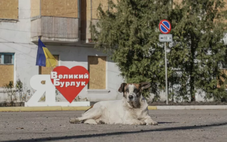Великий Бурлук на Харківщині планує придбати два дрони Mavic для сил оборони за 420 тисяч грн