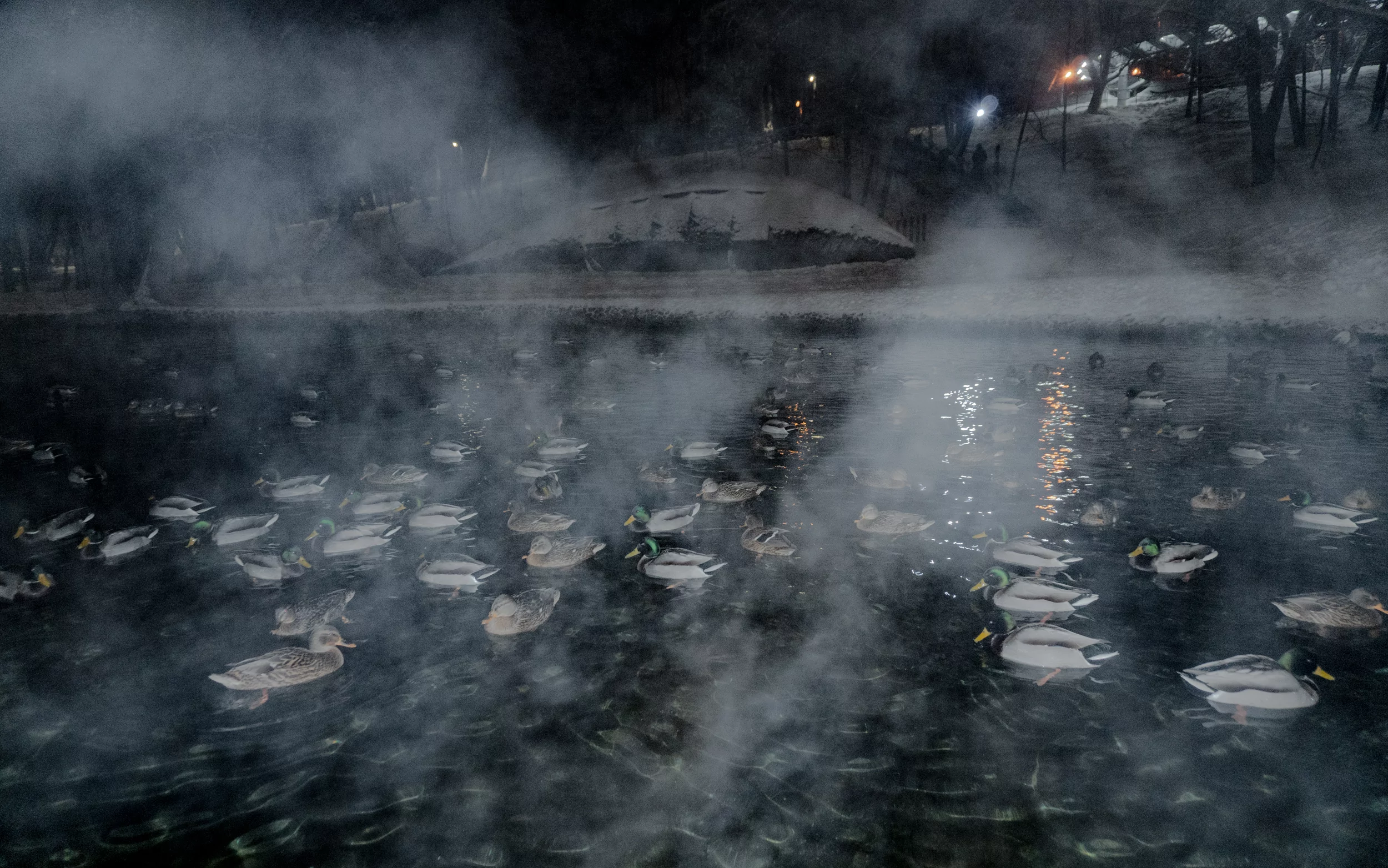 зима саржин яр