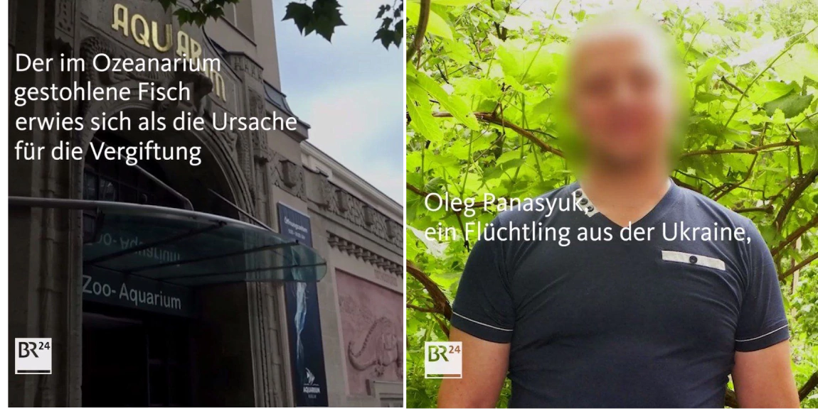 зображення до посту: Фейк. У Німеччині українські біженці отруїлися рибою викраденою в океанаріумі