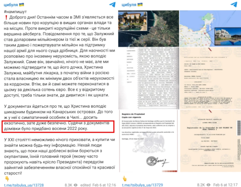 зображення до посту: ТОП-5 фейків про Валерія Залужного у 2023 році