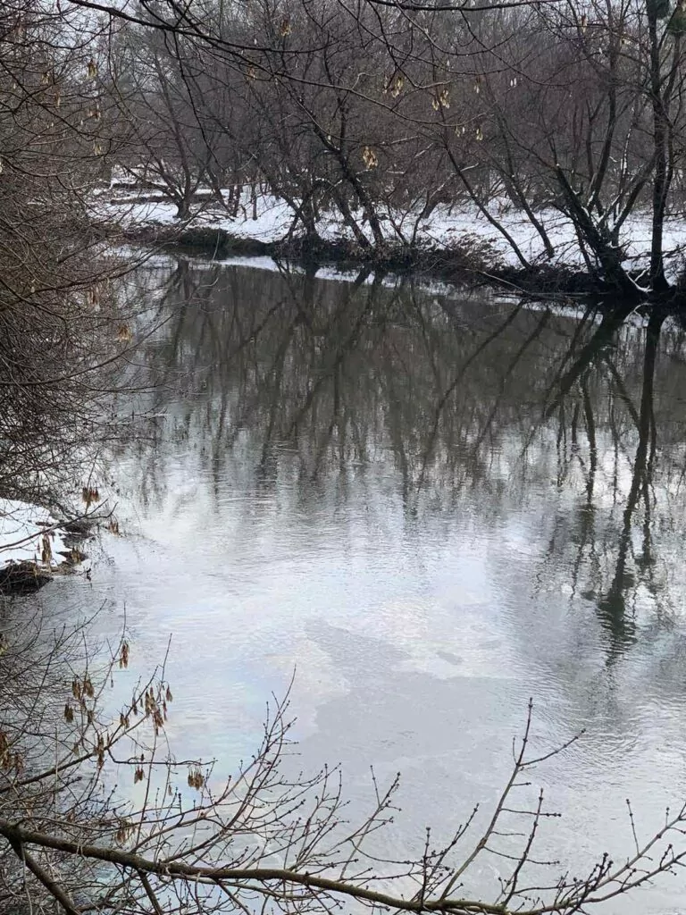 Харківщина зазнала понад 558 млрд грн екологічних збитків через війну