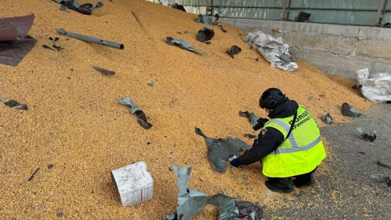 Russian Army Destroyed Hangars With Corn and Damaged Hangars With Grain in Kharkiv Region