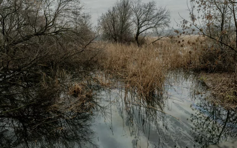 Russian Attack Polluted Kharkiv Rivers With Oil Products, in Photos