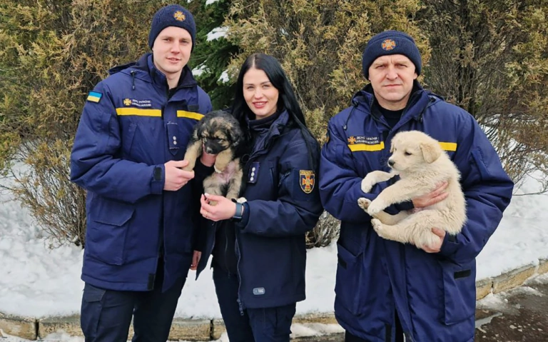 Надзвичайники врятували двох цуценят у Харкові