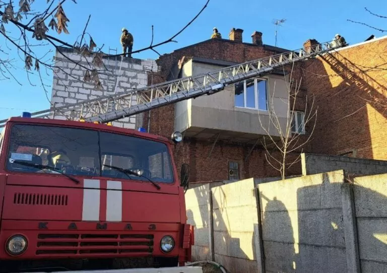 У Харкові в пожежі загинуло близько 20 котів