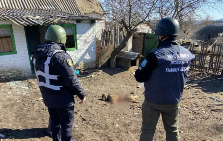 Унаслідок обстрілів Куп’янського району загинув пес
