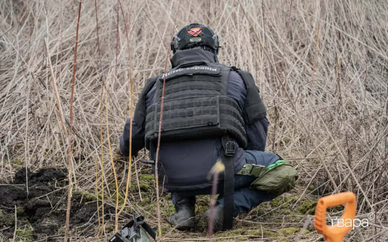 Минулої доби піротехніки знешкодили понад 130 вибухівок на Харківщині