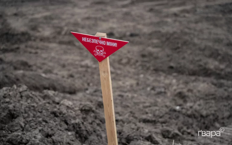 Близько 139 тисяч квадратних кілометрів територій України є потенційно замінованими — Шмигаль