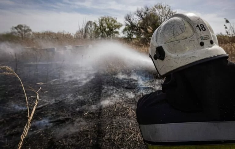Зафіксовано майже 30 випадків пожеж в екосистемах Харківщини — ДСНС