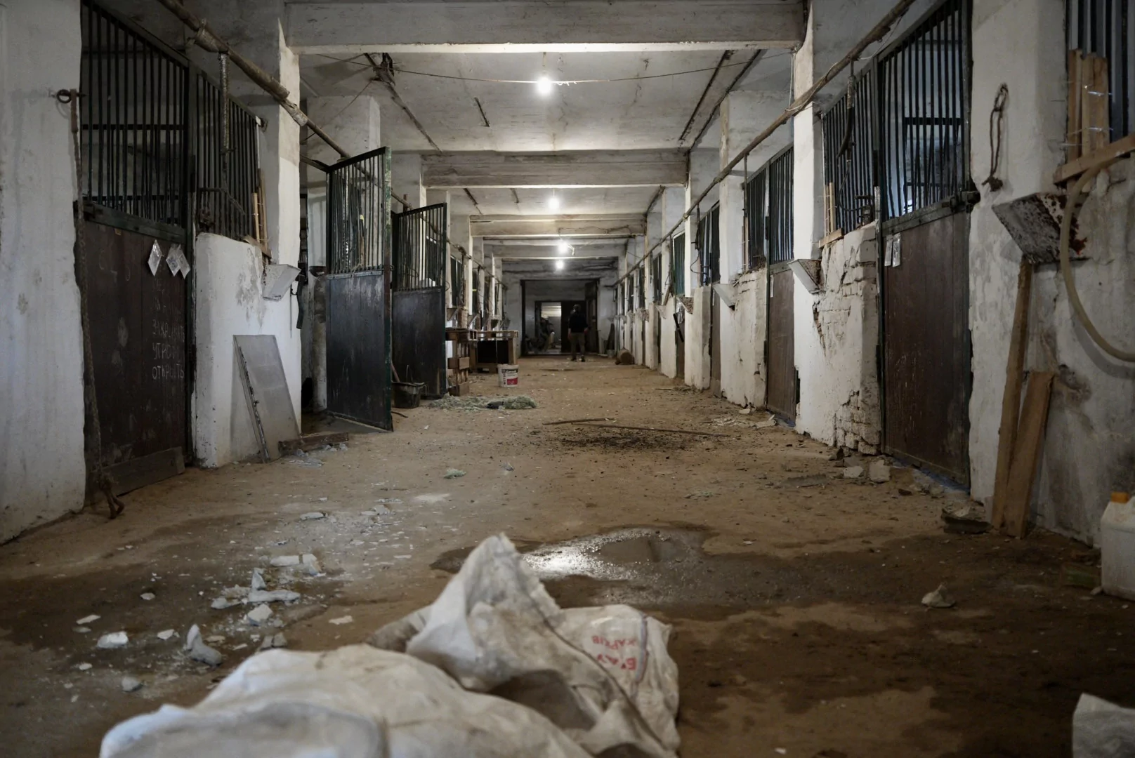 зображення до посту: In photos: Russian troops drop bombs near animal shelter in Kharkiv  