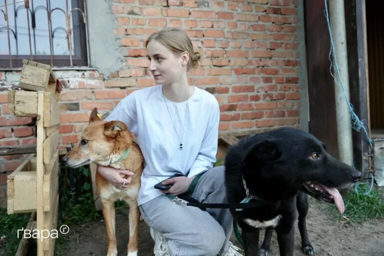 217 тварин із Вовчанська та Липців прихистили родини по всій Україні