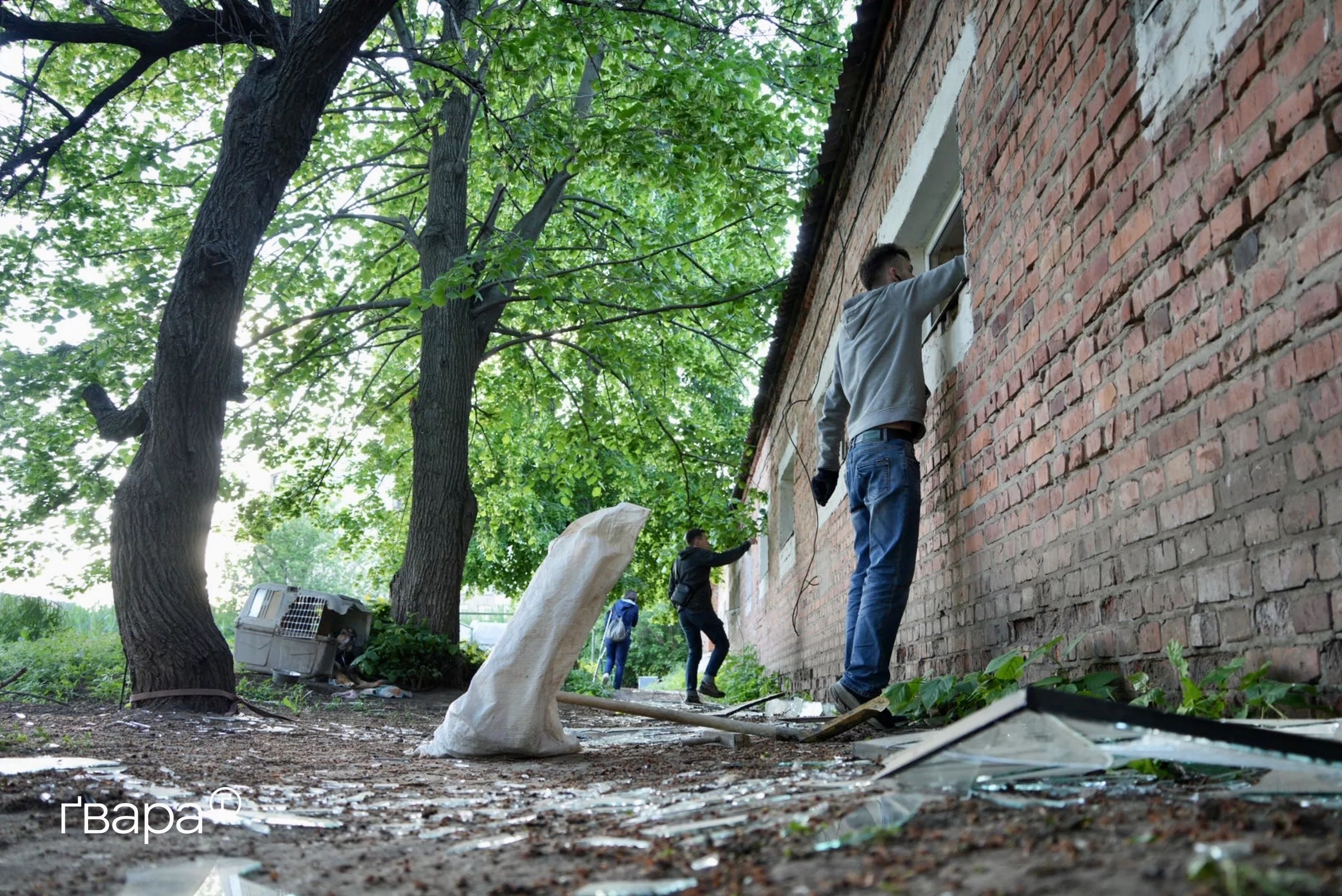 зображення до посту: Російські війська влучили авіабомбами поруч із притулком для тварин — фоторепортаж
