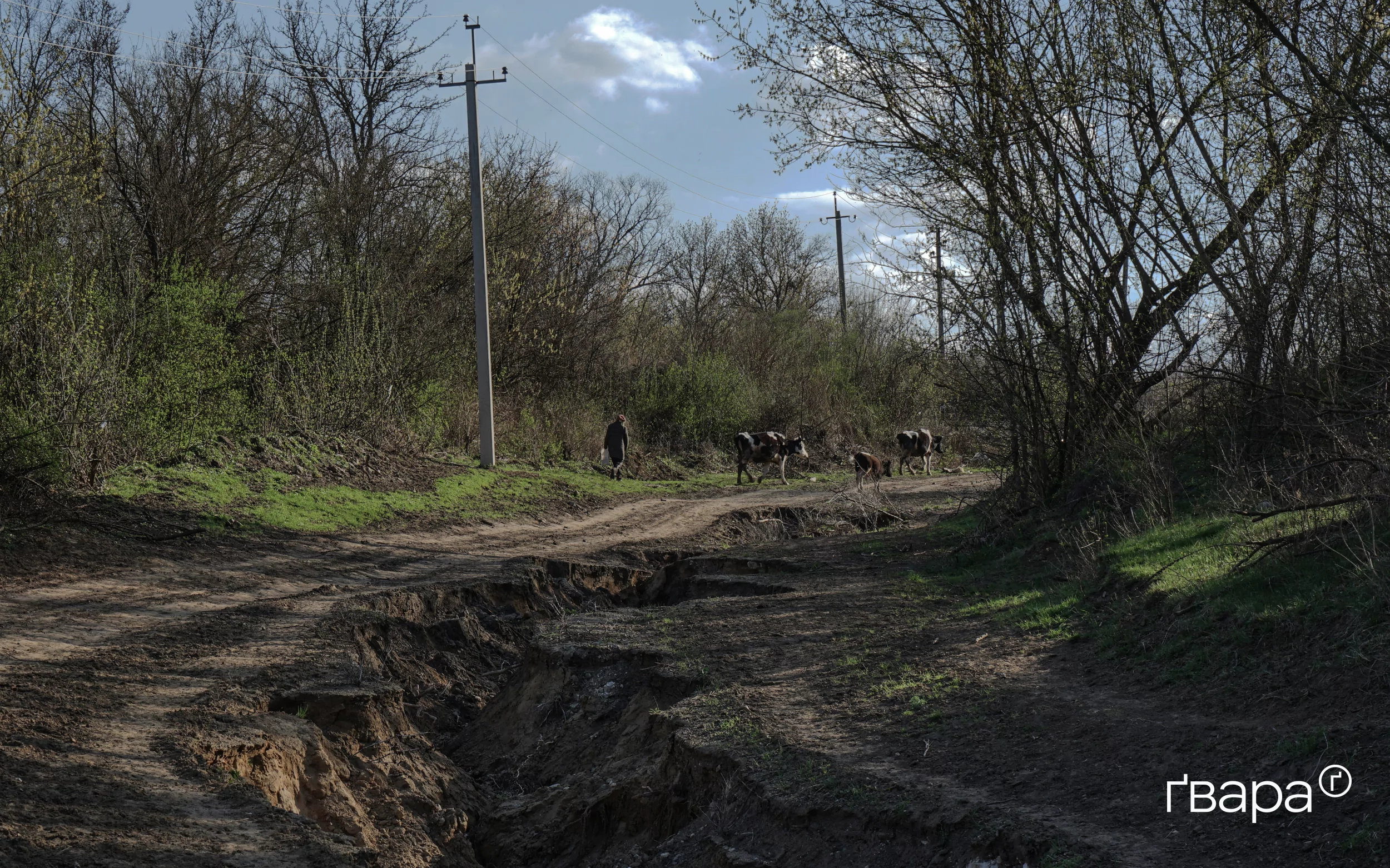 зображення до посту: «Чекаємо саперів»: як живе та відновлюється село Донецьке на Харківщині — фоторепортаж