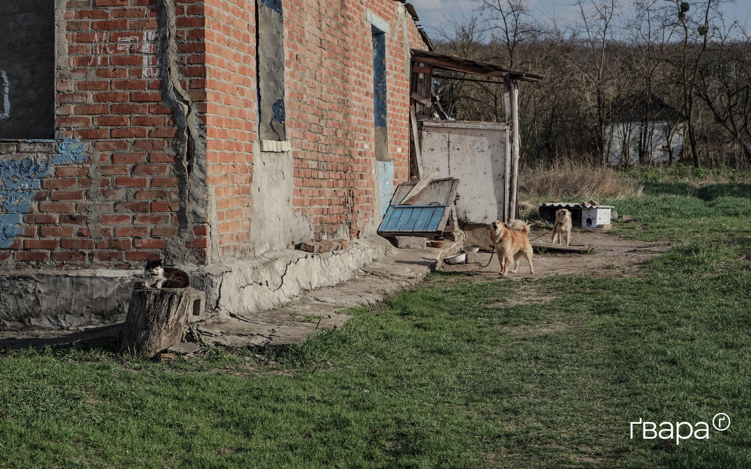 зображення до посту: «Чекаємо саперів»: як живе та відновлюється село Донецьке на Харківщині — фоторепортаж