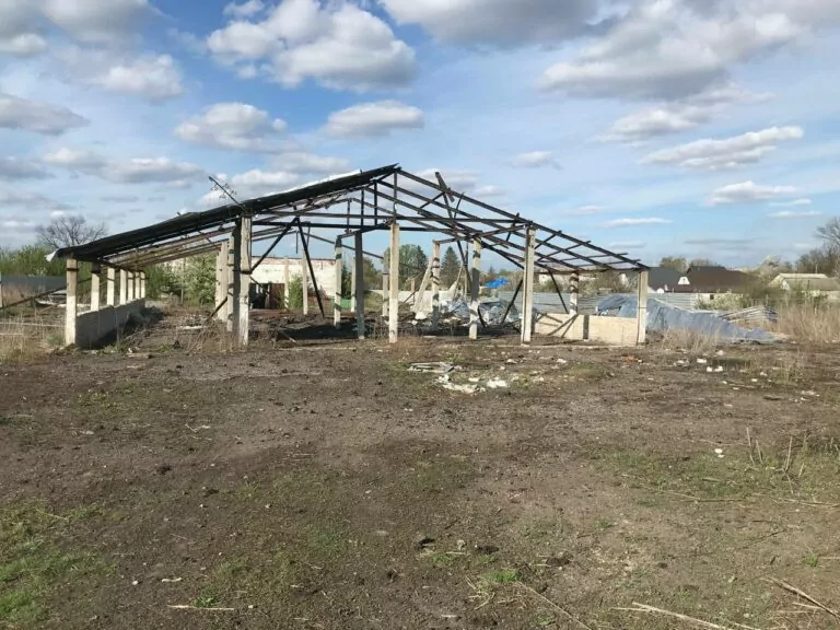На Харківщині внаслідок атаки дрона загинула місцева мешканка