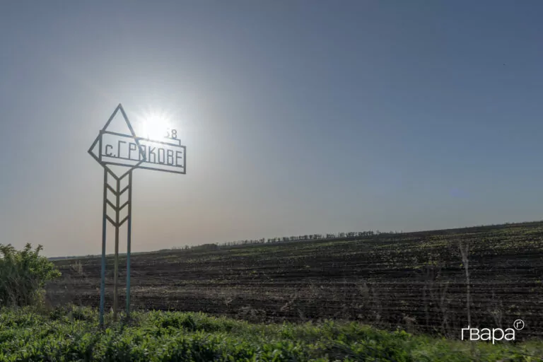 Африканську чуму свиней виявили на Харківщині — Держпродспоживслужба