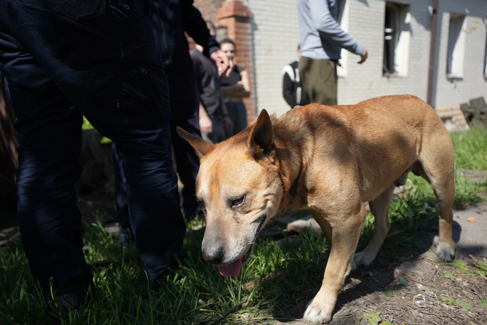 зображення до посту: In photos: Russians drop glide bomb on residential area in Kharkiv, kill 1, injure 2
