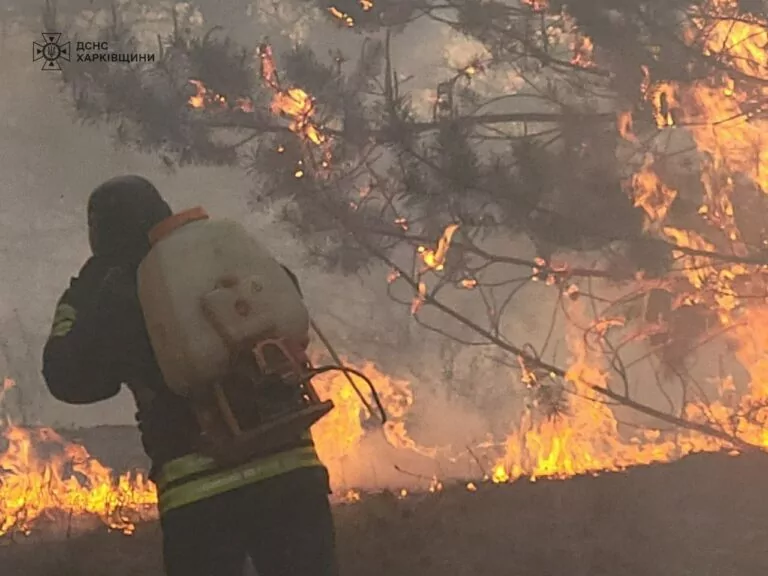 Russian attacks cause 8 fires in Kharkiv region in one day