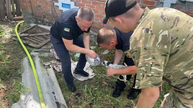 У Красноградському районі пожежники врятували з палаючого будинку песика