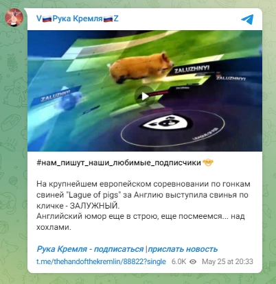 Скриншот фейку про свину на прізвисько 