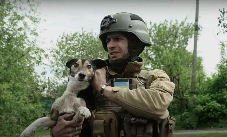 Порятунок тварин із Вовчанська: як працюють волонтери — ВІДЕО