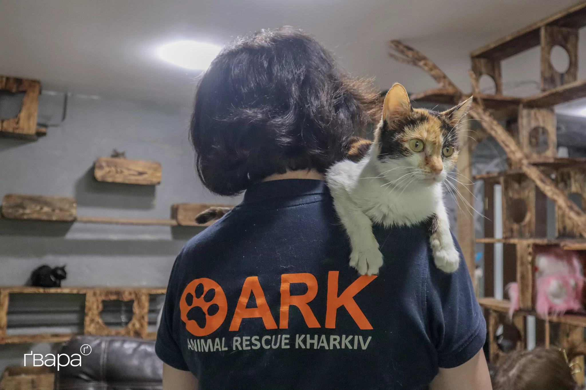 Керівниця реабілітаційного центру «Маленький принц» Олена тримає на руках кішку Маркізу / Фото: Поліна Куліш для Ґвара Медіа